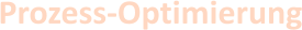 Prozess-Optimierung
